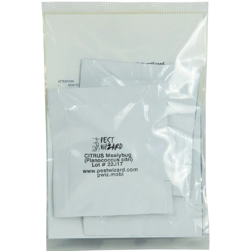 Pest Wizard Citrus Mealybug Lure 3-Pack 2 Pest Wizard Citrus Mealybug Lure 3-Pack - Image 2