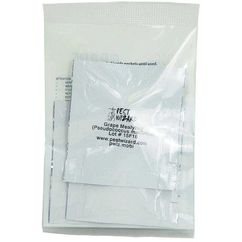 Pest Wizard Grape Mealybug Lure 3-Pack 2 Pest Wizard Grape Mealybug Lure 3-Pack - Image 2