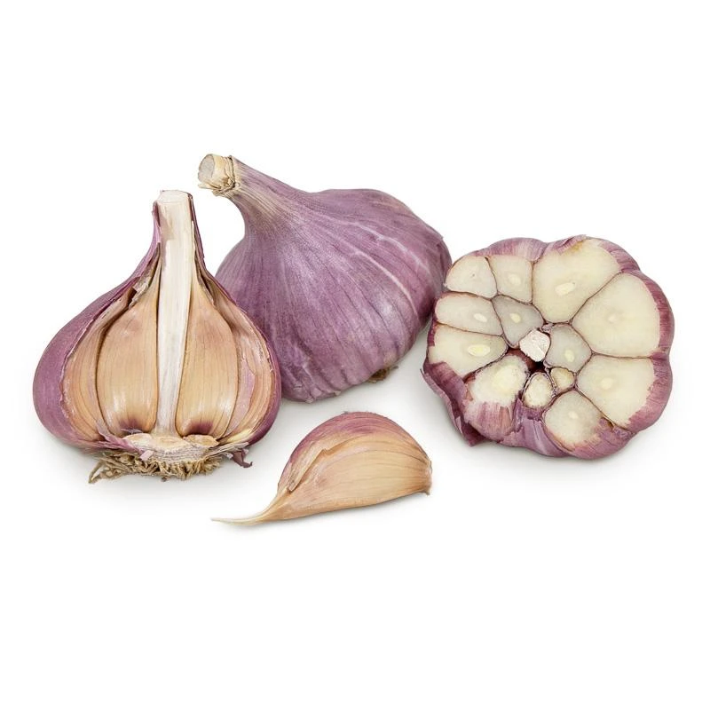 Conventionally Grown Garlic, Bogatyr (lb) 1 Conventionally Grown Garlic, Bogatyr (lb)