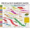 Fruit Tree Harvest Chart