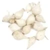 Onion Sets - White