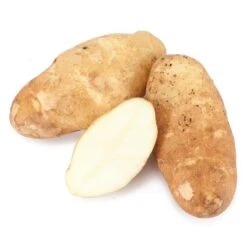Burbank Russet Potato (Organic)