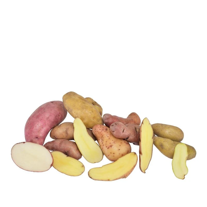 Fall-Planted Organic Fingerling Seed Potato Mix (lb) 1 Fall-Planted Organic Fingerling Seed Potato Mix (lb)