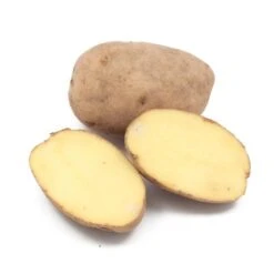 Fall-Planted Organic German Butterball Seed Potatoes (lb)