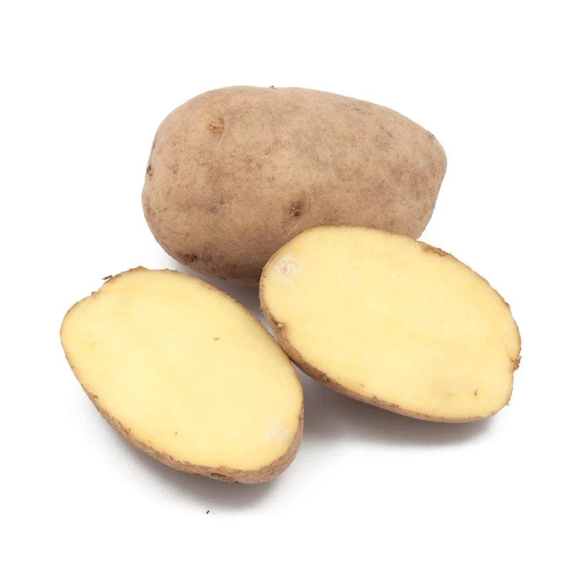 Fall-Planted Organic German Butterball Seed Potatoes (lb) 1 Fall-Planted Organic German Butterball Seed Potatoes (lb)
