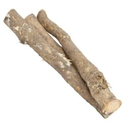 Organic Horseradish Root Cutting