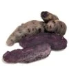 Fall-Planted Organic Purple Peruvian Fingerling Seed Potatoes (lb)