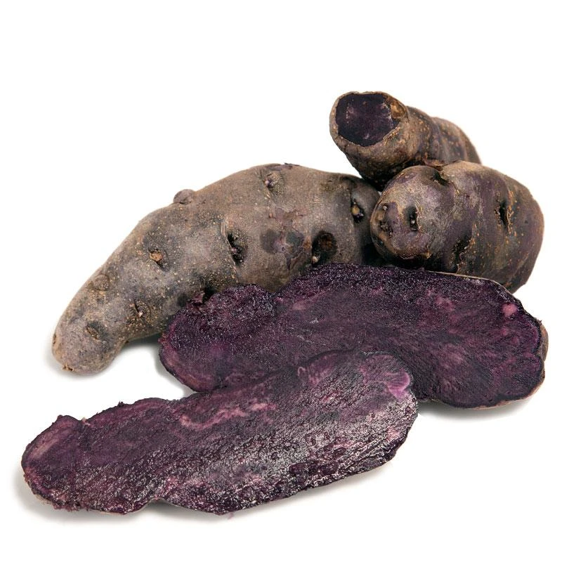 Fall-Planted Organic Purple Peruvian Fingerling Seed Potatoes (lb) 1 Fall-Planted Organic Purple Peruvian Fingerling Seed Potatoes (lb)