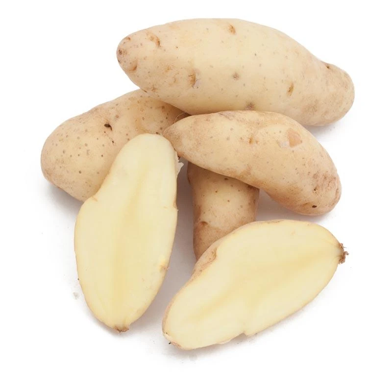 Russian Banana Fingerling Potato (Organic) 1 Russian Banana Fingerling Potato (Organic)
