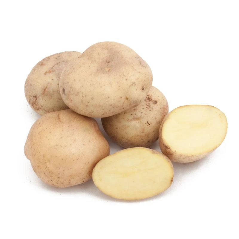 Fall-Planted Organic Yellow Finn Seed Potatoes (lb) 1 Fall-Planted Organic Yellow Finn Seed Potatoes (lb)