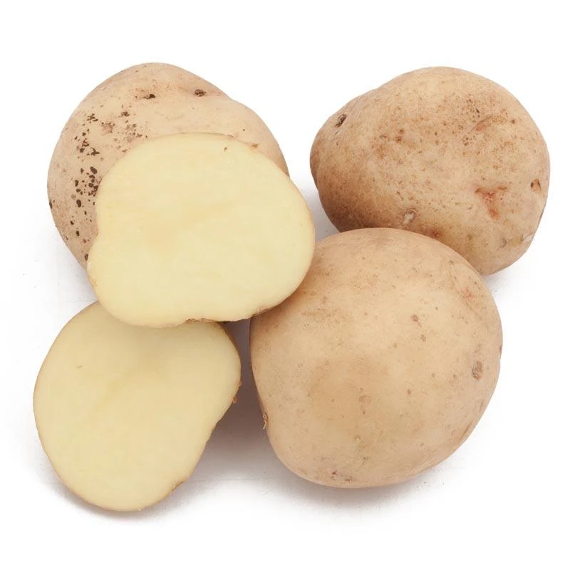 Yukon Gold Potato (Organic) 1 Yukon Gold Potato (Organic)