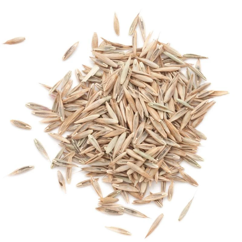 Peaceful Valley Premium Lawn Seed Mix (5 Lb) 1 Peaceful Valley Premium Lawn Seed Mix (5 Lb)