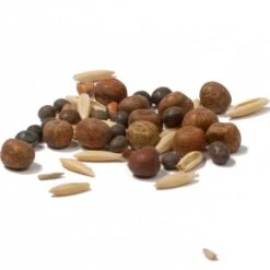 Peaceful Valley Legume Oat Mix #1 - Raw Seed (lb) -Brandt Plants Store scm350 cat