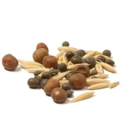 Peaceful Valley Legume Oat Mix #2 - Raw Seed (lb) -Brandt Plants Store scm351 cat